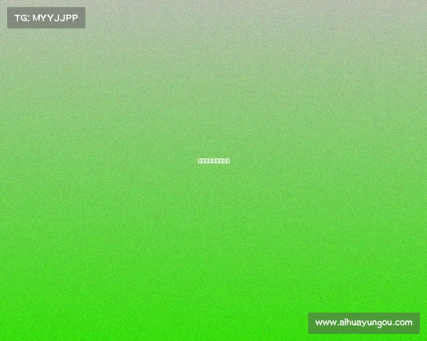 中国格斗赛事一览表 中国格斗赛事一览表