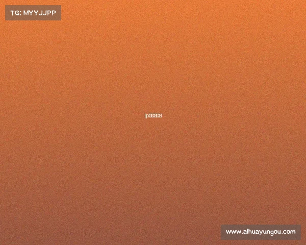 lp赛事起名字 lp赛事起名字