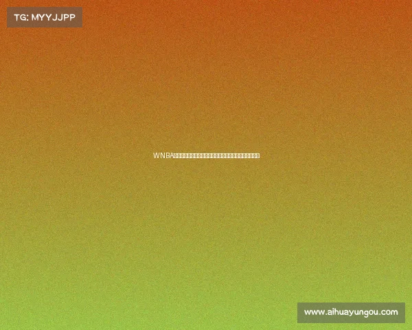 WNBA美国女子职业篮球联赛最新赛事动态球员表现与赛程更新