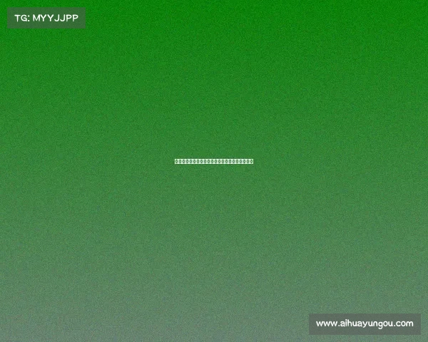 今日篮球赛事焦点对决精彩纷呈球星闪耀不容错过