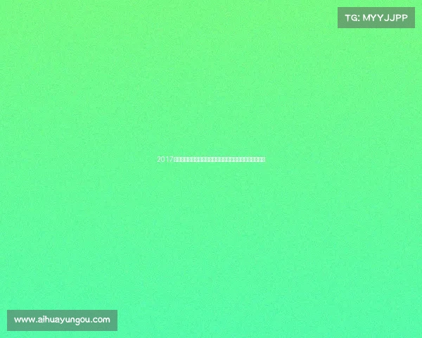 2017年新西兰大型赛事全景回顾难忘的体育与文化盛典精彩集合